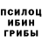 Псилоцибиновые грибы прущие грибы Marco Peigann