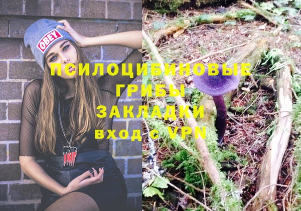 дурь Осинники