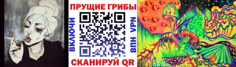 Галлюциногенные грибы ЛСД  наркота  даркнет телеграм  Когалым 